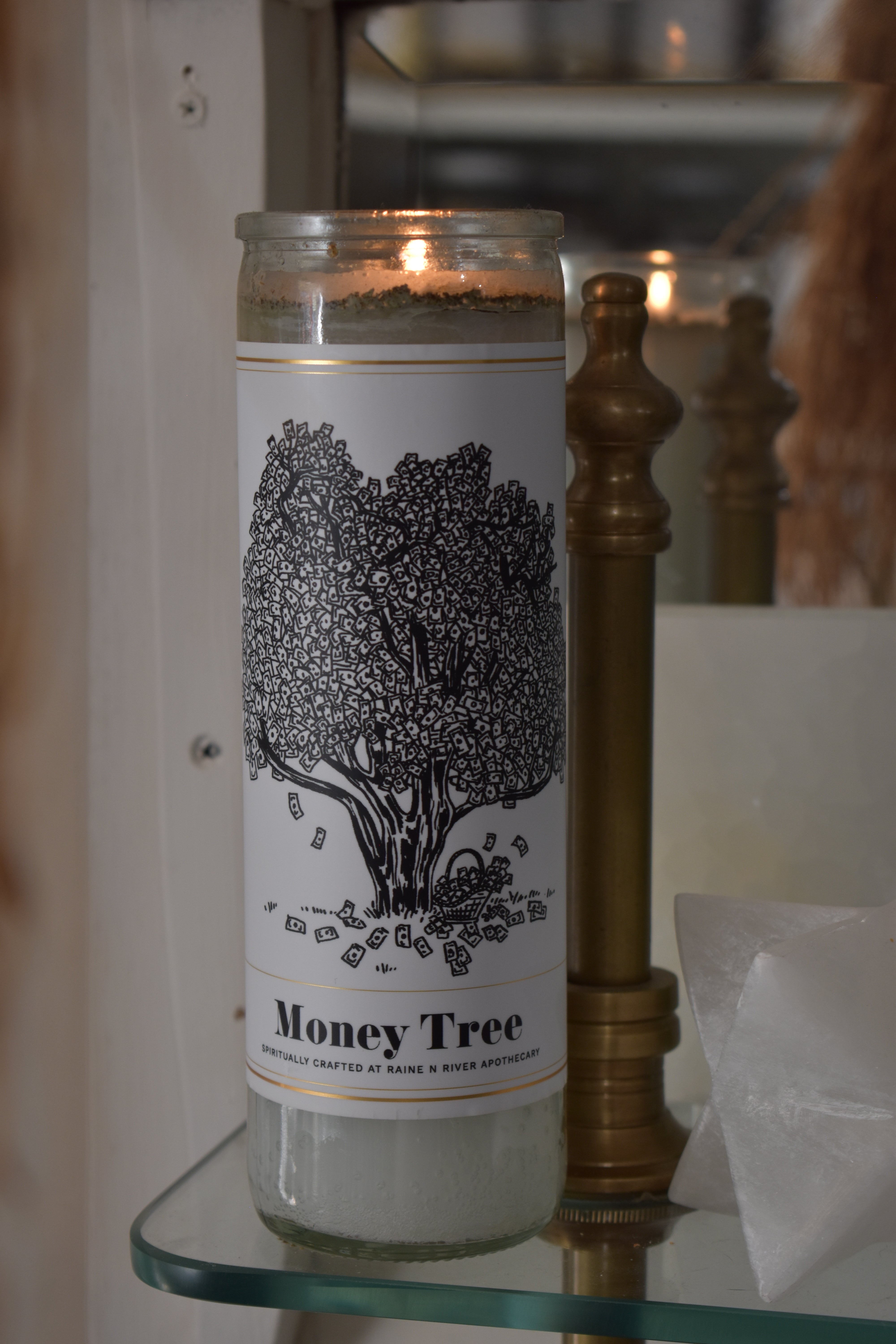 money tree candle Money Tree Candle – Raine n River Apothecary