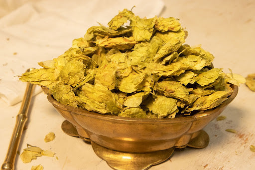 Organic Hops (Humulus lupulus)