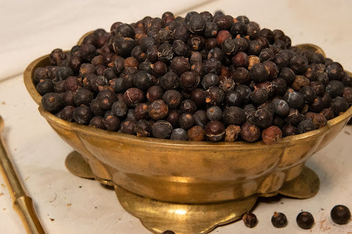 Organic Juniper Berries (Juniperus communis)