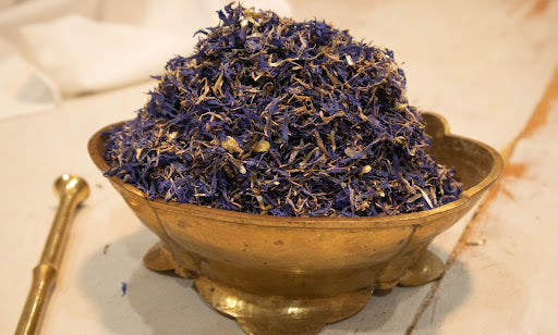 Organic Cornflowers  (Centaurea cyanus)
