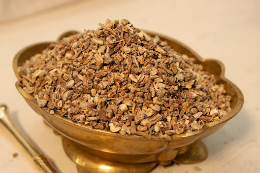 Organic Echinacea (Echinacea angustifolia)