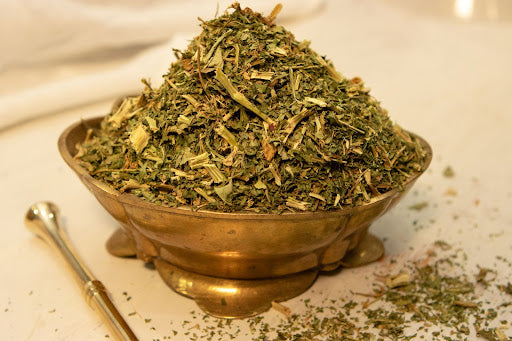 Organic Epazote (Chenopodium ambrosioides)