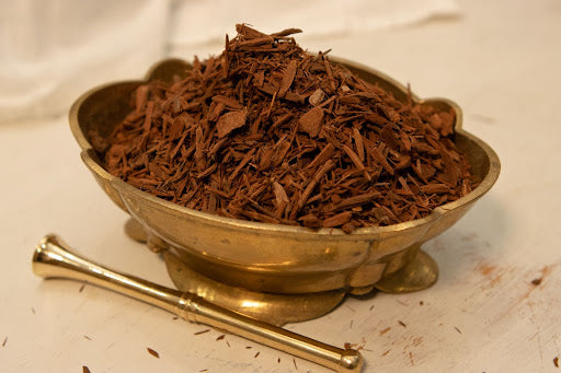 pausinystalia yohimbe plant Organic Yohimbe (Pausinystalia johimbe) – Raine n River Apothecary